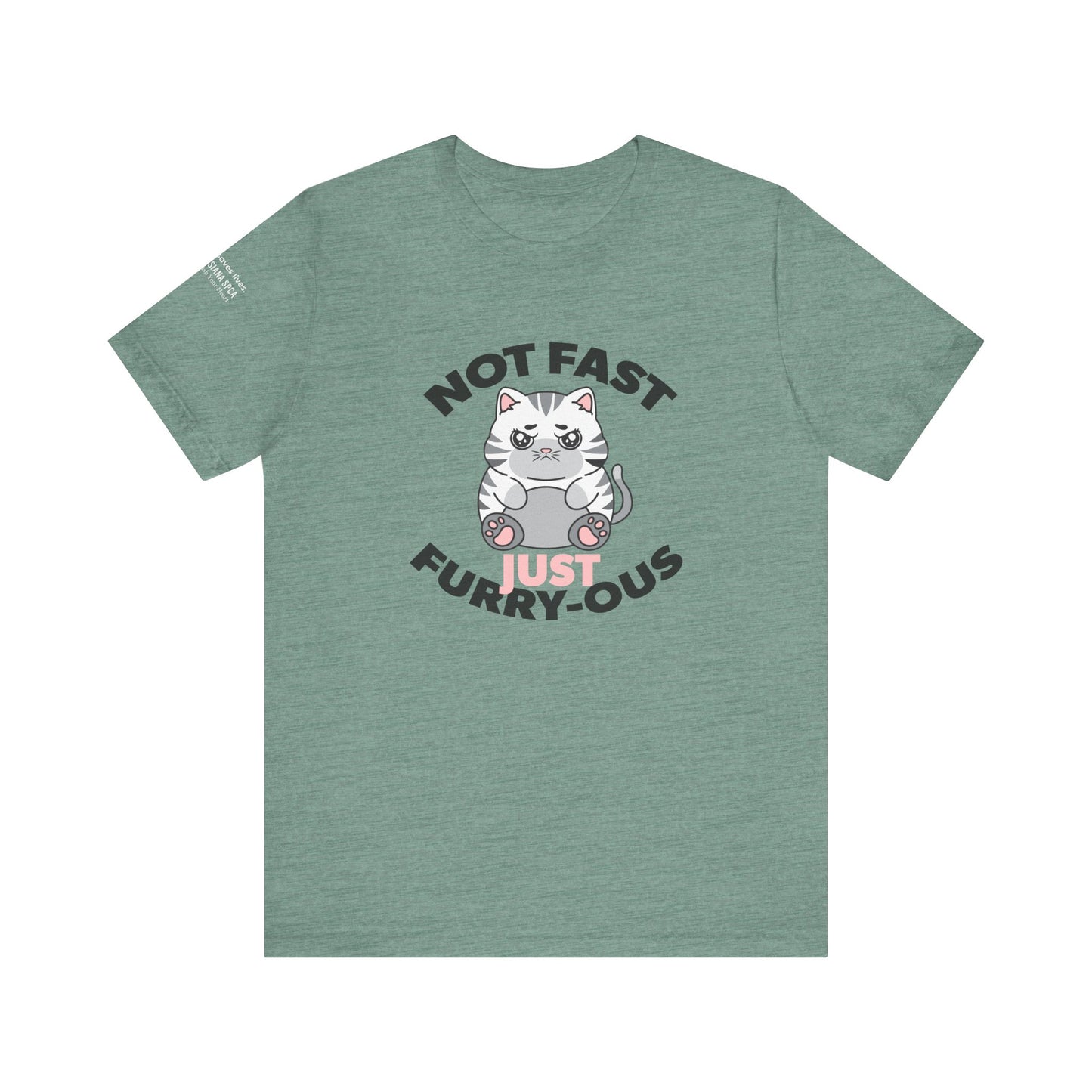 Not Fast, Just Furry-ous TShirt