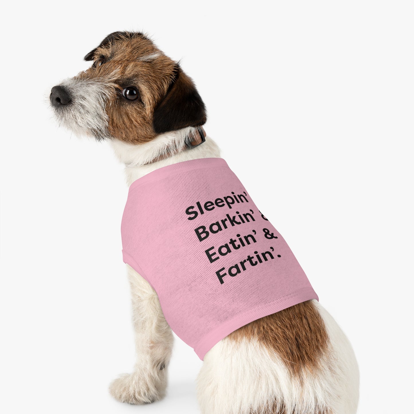 Sleep' & Barkin' & Eatin' & Fartin' Pet TShirt