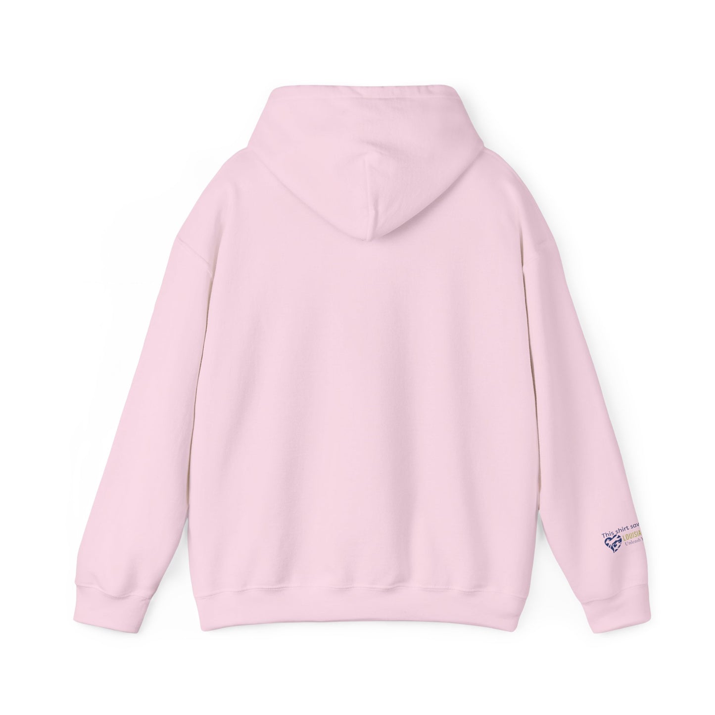 Not Fast, Just Furious Hoodie