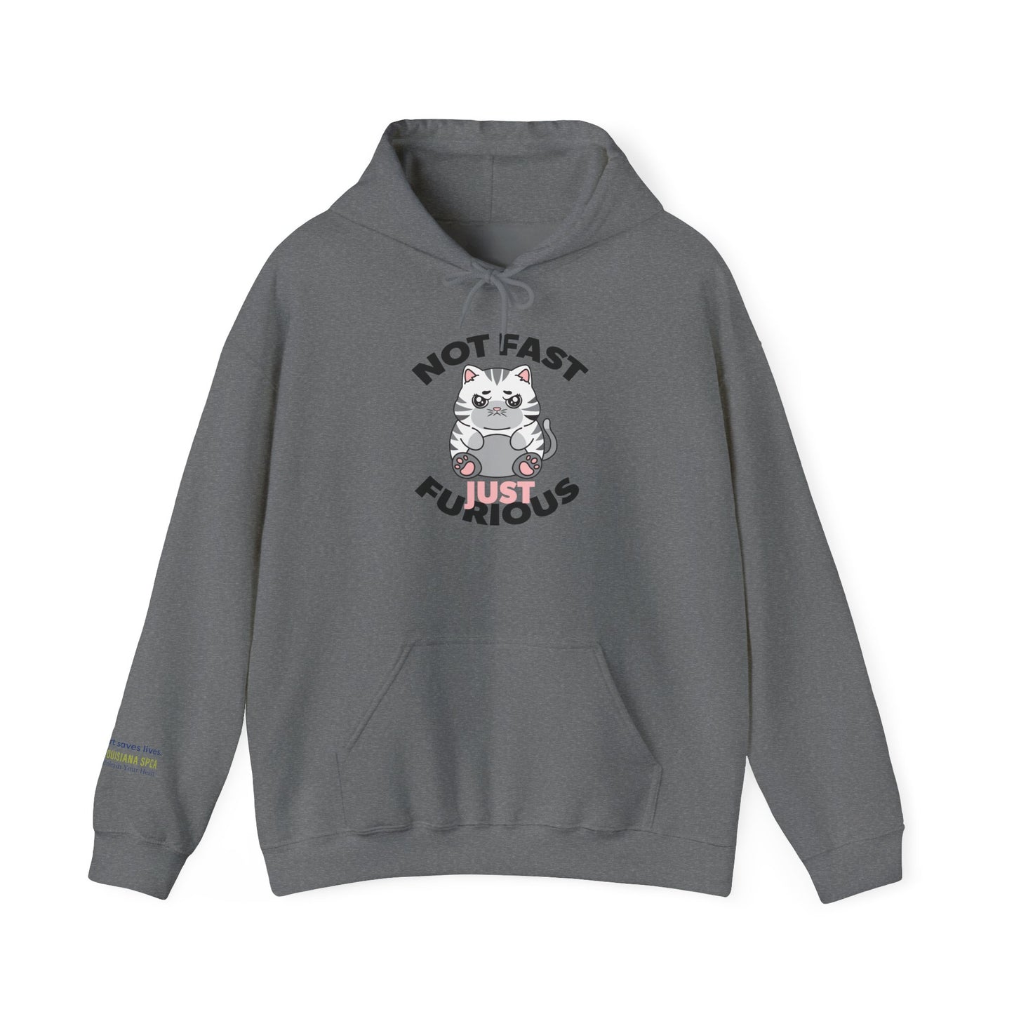 Not Fast, Just Furious Hoodie