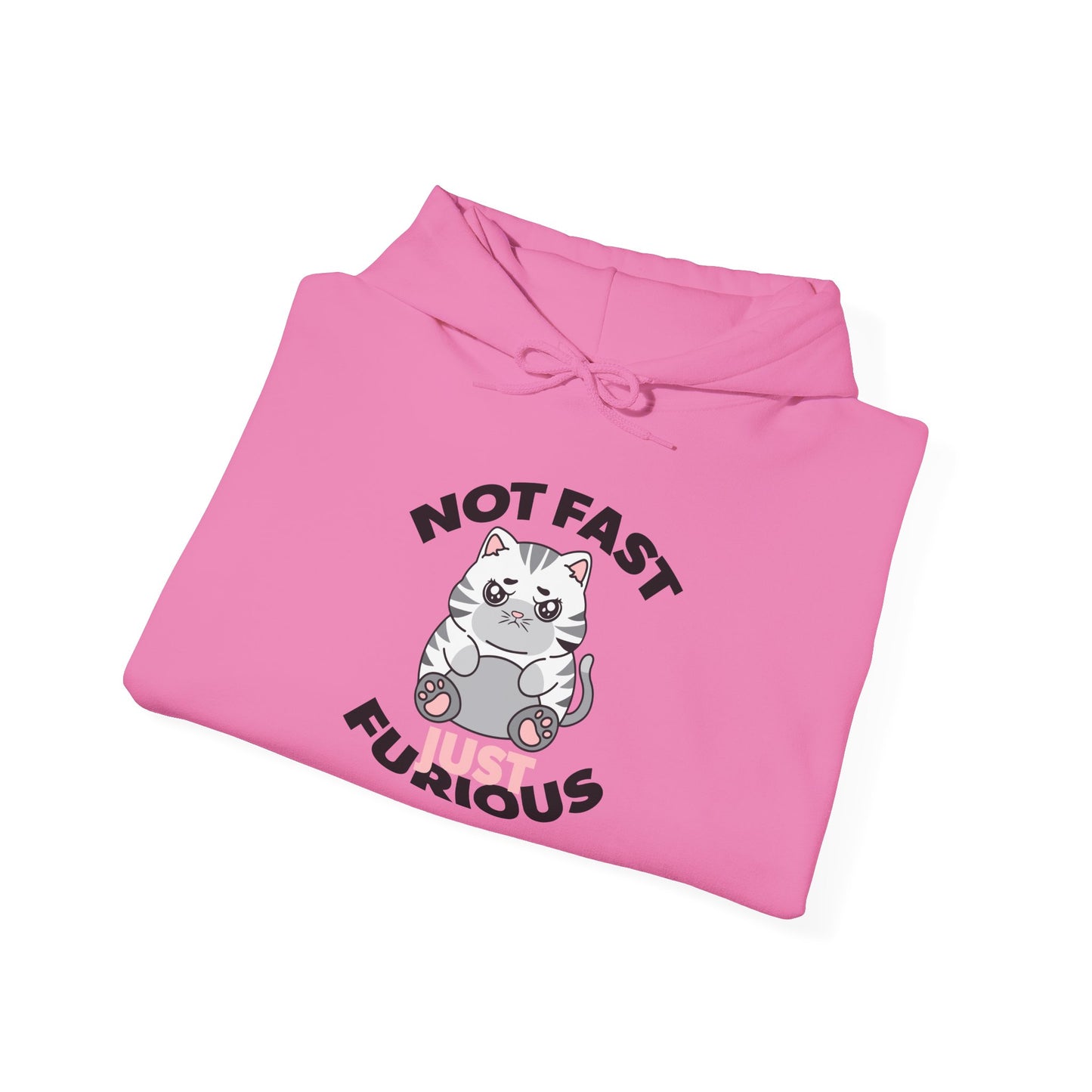 Not Fast, Just Furious Hoodie
