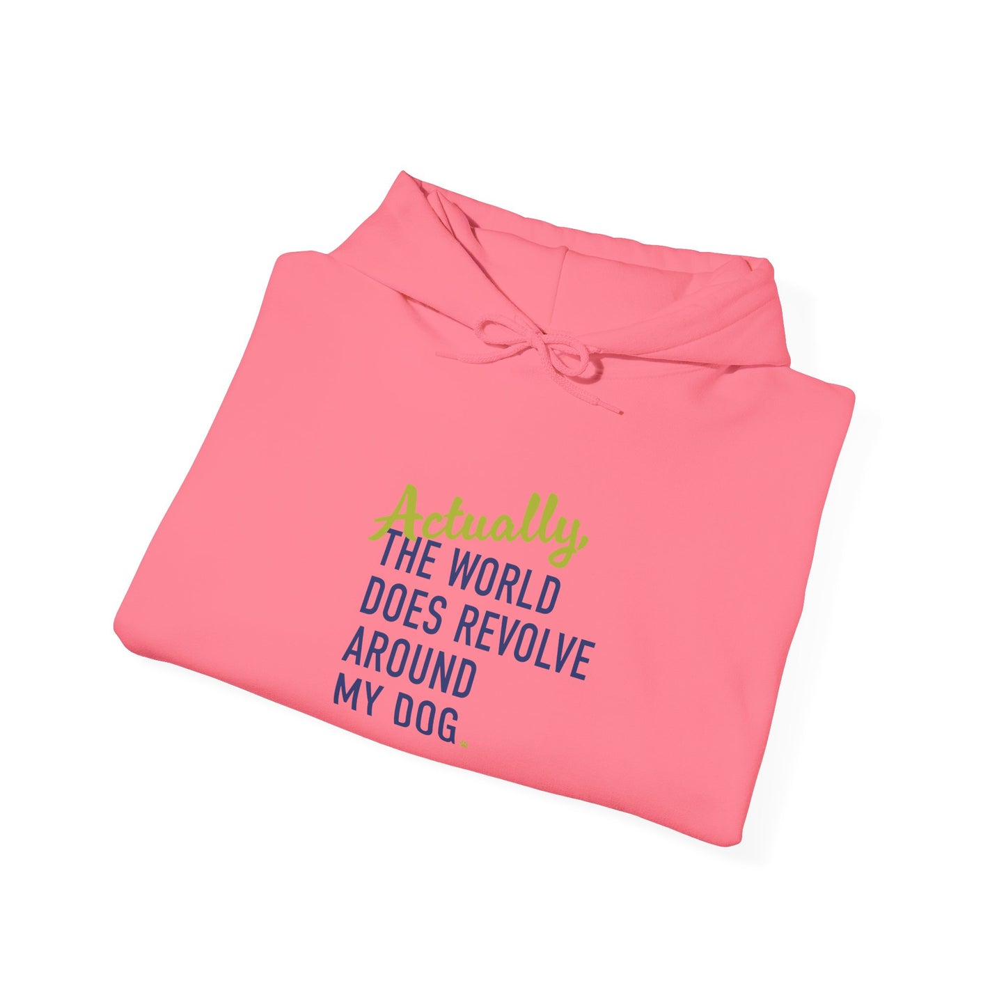 Actually, The World Does Revolve Around My Dog Hoodie