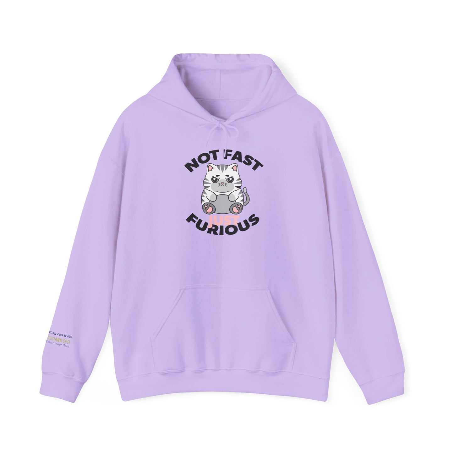 Not Fast, Just Furious Hoodie