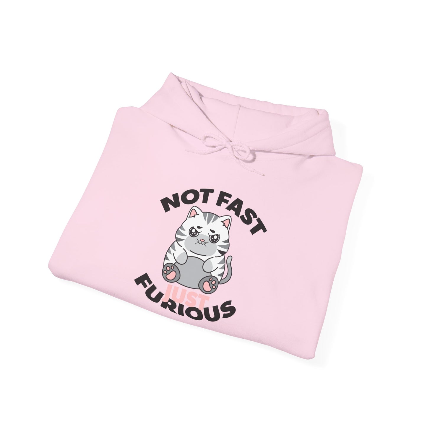 Not Fast, Just Furious Hoodie
