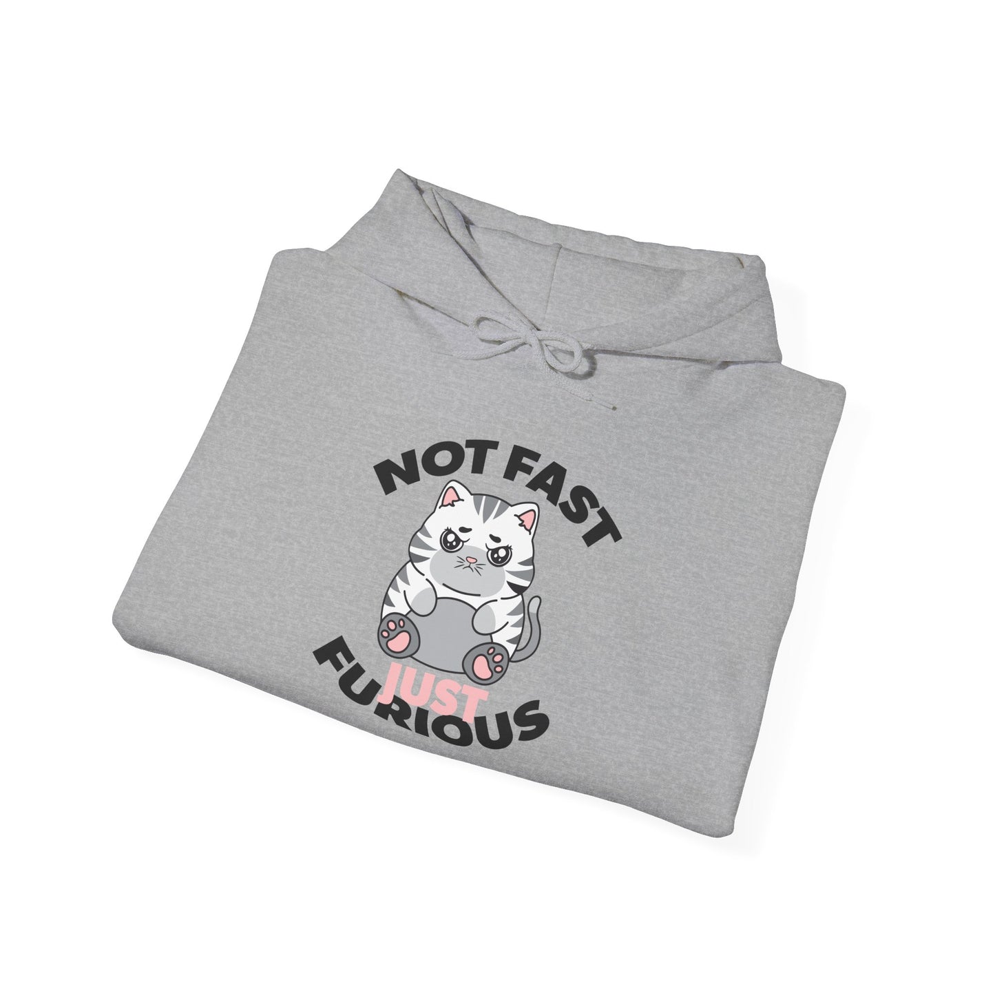 Not Fast, Just Furious Hoodie