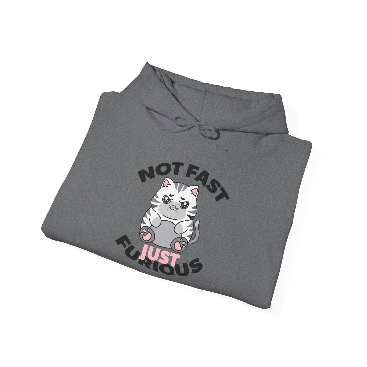 Not Fast, Just Furious Hoodie
