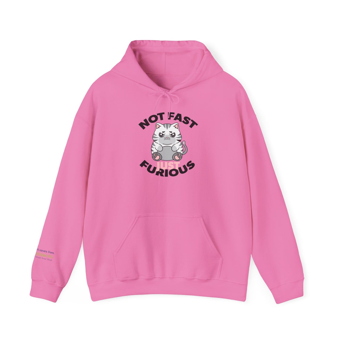 Not Fast, Just Furious Hoodie