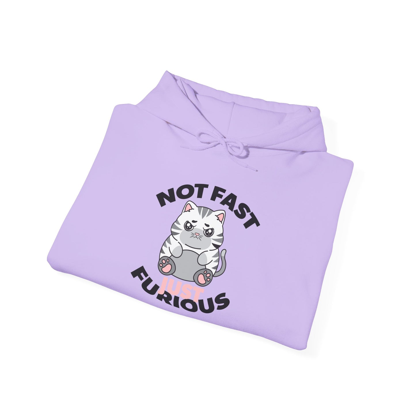Not Fast, Just Furious Hoodie